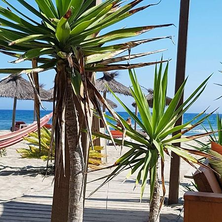 Beau studio à 1 minute de la plage Canet-en-Roussillon Extérieur photo