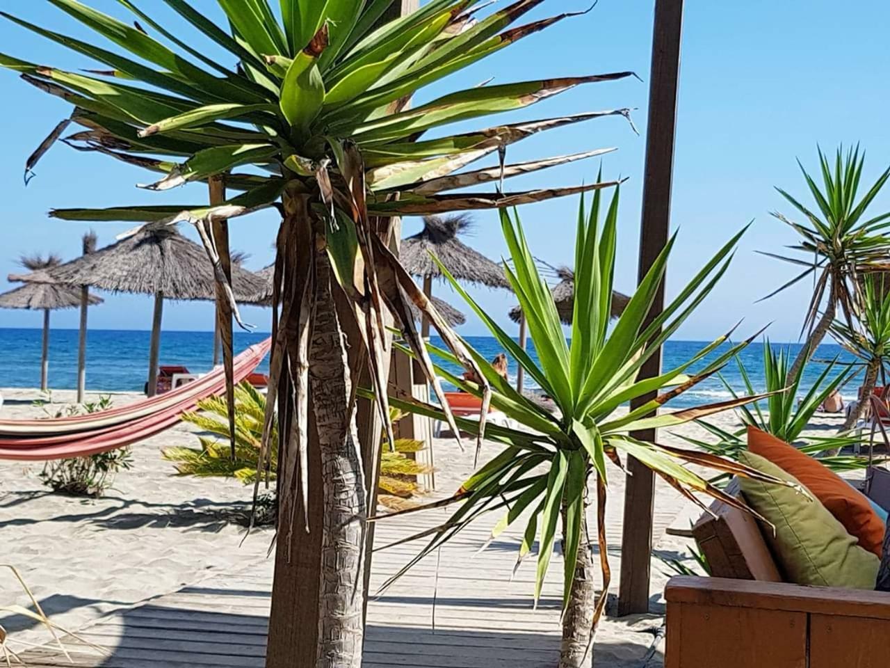 Beau studio à 1 minute de la plage Canet-en-Roussillon Extérieur photo